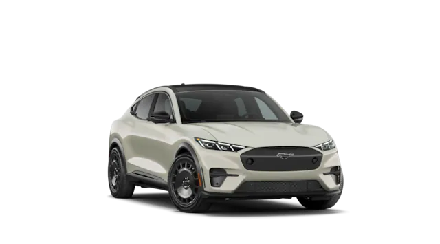 Rally trim image